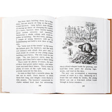 Load image into Gallery viewer, Pathway Readers Complete Set