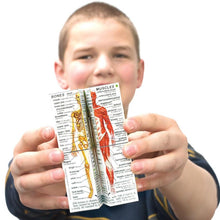 Load image into Gallery viewer, FALSE