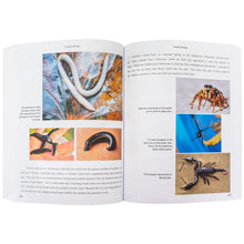 Load image into Gallery viewer, FALSE