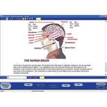 Load image into Gallery viewer, Switched-On Schoolhouse Grade 9
